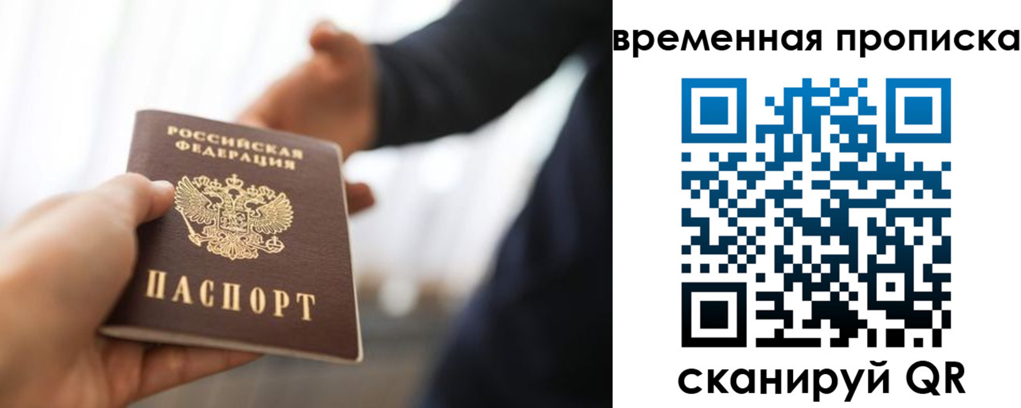 прописка 2025 в Светлом